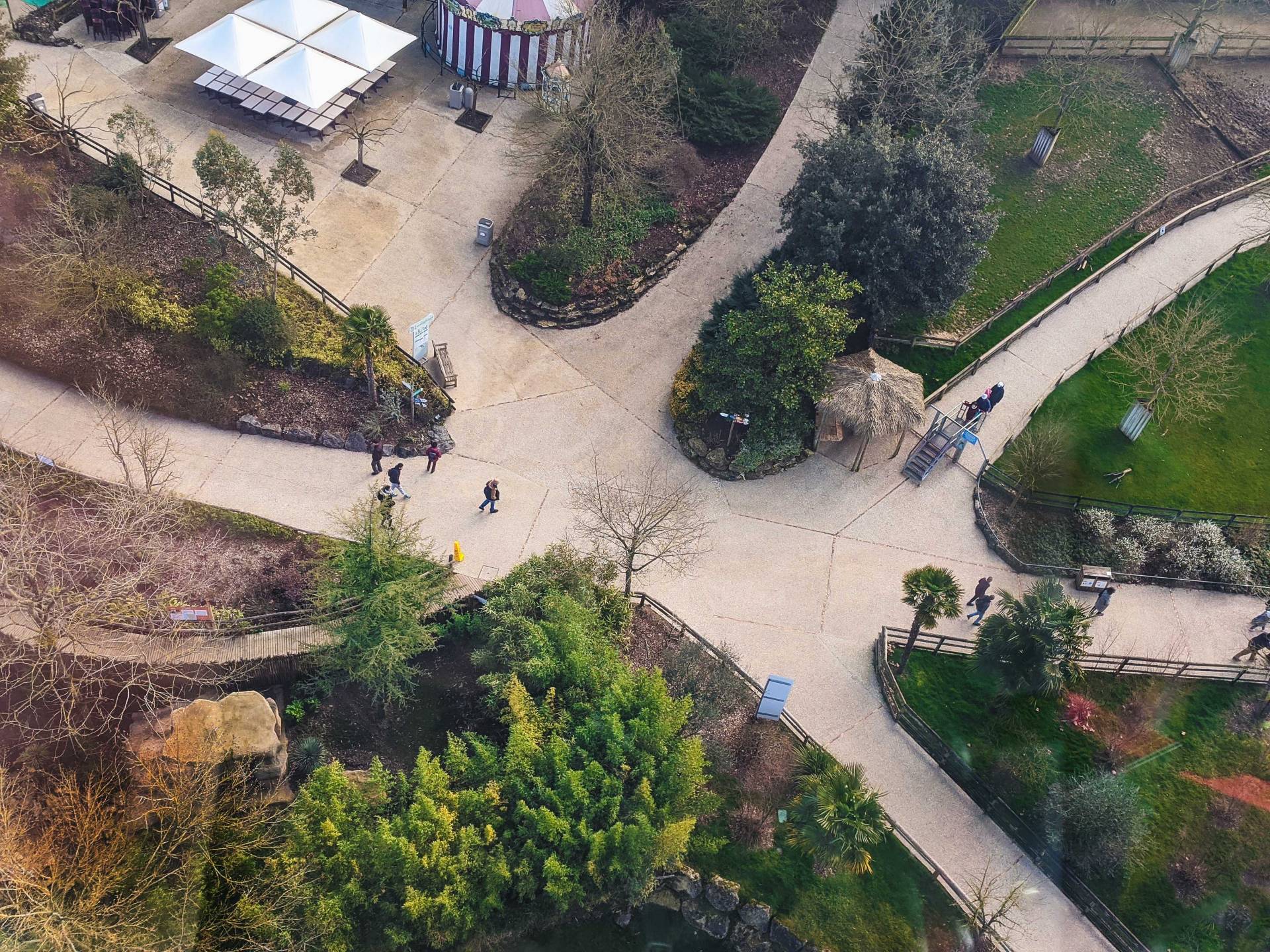 ZooParc de Beauval à 1h de Tours | Best Western Plus L'Artist Hôtel